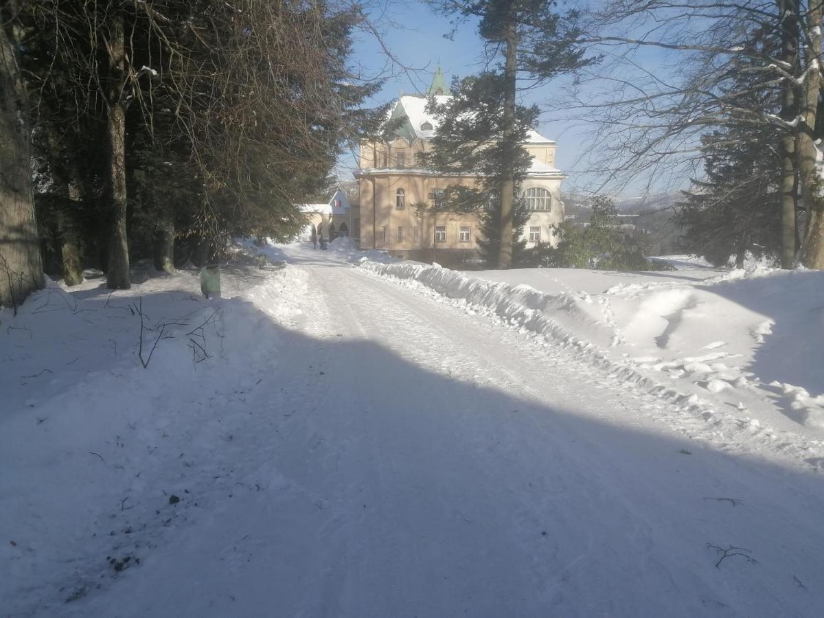 Hotel Vetrov Vysoke nad Jizerou Bagian luar foto